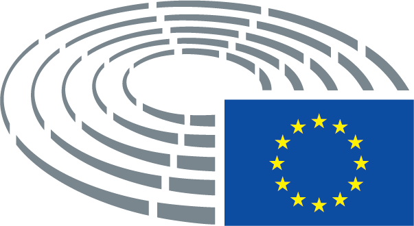 european parliament